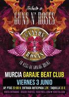 gansosrosas_cartel2016