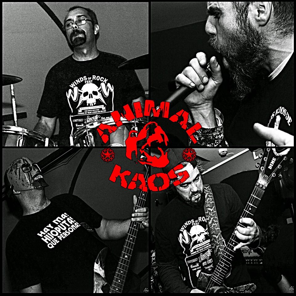 13781734_830961763671010_1996940245119583845_n