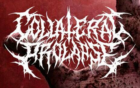 14958770_219522955135934_1121764808_n